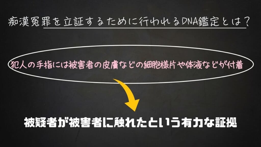 痴漢冤罪を立証するためのDNA鑑定とは？